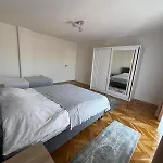Borici