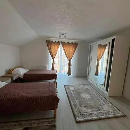 Borici Villa