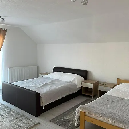 Borici Villa *